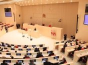 В парламенте Грузии назвали досадным решение Зеленского по "лжецу" Саакашвили