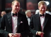 Як змінилися стосунки між Вільямом і Гаррі після скандалу з Мегзіт