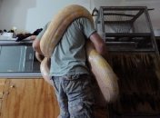 Удав задушил двух детей