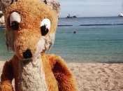 Страничка в Instagram плюшевого лиса, который ездит по миру (Фото)