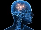 В США собираются оживить мертвый мозг человека