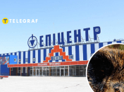 Колаж "Телеграфу"