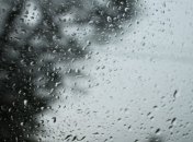 Прогноз погоды в Украине на 5 июня: дожди с грозами