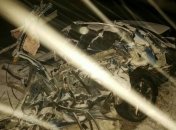 В Харькове грузовик столкнулся с иномаркой, погиб один человек