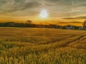 Эксперт: Из-за открытия рынка земли бесплатную приватизацию могут ограничить