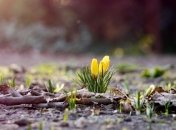 Прогноз погоды на 21 марта: на выходных в Украине потеплеет до +13