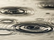 Прогноз погоды в Украине на 24 июля: только на востоке будет сухо