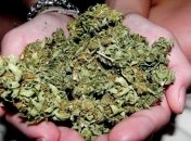 Ученые: марихуана распространялась более пяти тысяч лет назад 