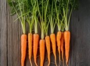 Есть определенные секреты выращивания сладкой моркови (изображение создано с помощью ИИ)