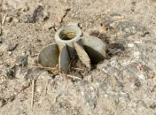 "Я слышал разные цифры": нардеп назвал стоимость реинтеграции Донбасса