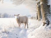 Какой сегодня праздник - День святого апостола Онисима