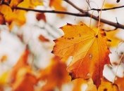 Погода на выходные: жара спадет, но ненадолго