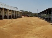 В Украине уже намолочено более 5 млн тонн зерна