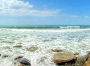 Экологи: Черное море – одна из самых загрязненных частей нашей планеты