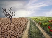 Метеорологи "наглядно" показали изменение климата