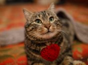 Пройдите тест и узнайте о своем характере