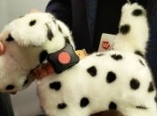 Новое устройство, которое расскажет все о вашем питомце