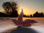 Каким будет начало зимы в Украине?