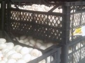 Задержан нелегальный поставщик продуктов на оккупированную территорию