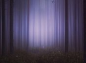 Ночь, которая заденет вас за живое и заставит по новому взглянуть на мир (Фото) 