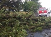 Из-за урагана сотни населенных пунктов в 9 областях Украины остаются без света 