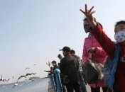 В Пекине зафиксирован первый случай заражения птичьим гриппом