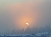 Украину накроют туманы на ближайшие 3 дня