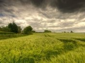 Погода в Украине 12 августа: существенное похолодание с дождями