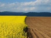 Рада близка к существенному продлению моратория на продажу земли