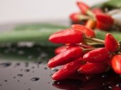 Такая "диета" Вам не поможет: перец чили не способствует похудению