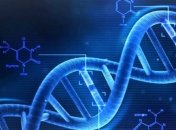 Как сладкая газировка приводит к старению организма