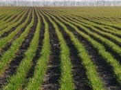 Прокуратура требует возвращения земли на Жуковом острове