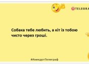 Цікаво, як змінилося б життя, якби шлюби треба було щороку продовжувати у РАЦСі: смішні анекдоти