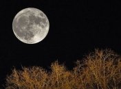 Полнолуние 8 апреля: что категорически нельзя делать в этот день