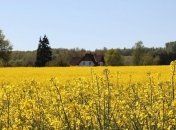 Яке свято 10 травня: народні прикмети і заборони