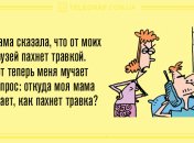 Чтобы смех не прекращался: вечерние анекдоты 4 декабря
