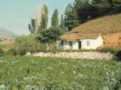 Новые факты о эгейской цивилизации 