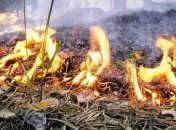 Украинцев предупредили о пожарной опасности: список областей