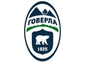 "Говерла" намерена досрочно завершить чемпионат Украины