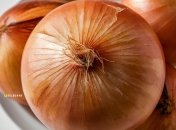 Лук - один из самых популярных овощей