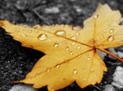 Синоптики пообещали Украине прохладную неделю с дождями