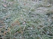 Більшу частину України в найближчі ночі будуть сковувати заморозки - прогноз на 9 і 10 травня