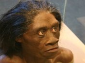 Археологи: предки человека истребили хоббитов