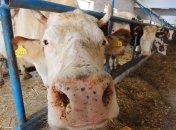 Фермер в Херсонской области 4 месяца удерживал заложников