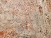 Ученые обнаружили древнейшее изображение животного