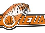 БК "Донецк" победил на сборе в Прибалтике 