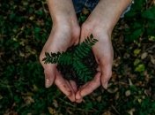 Фірсов: за рік збитки від засмічень землі в Україні перевищили мільярд гривень