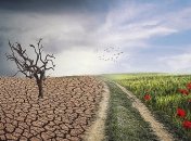 Изменения климата: метеорологи разработали прогноз на ближайшие 5 лет