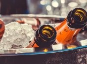 Стало известно, как влияет алкоголь на людей интровертов