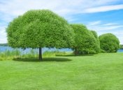 28 мая. Приметы дня